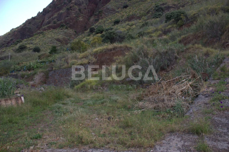 Terreno para Venda em Paul do Mar Foto 55