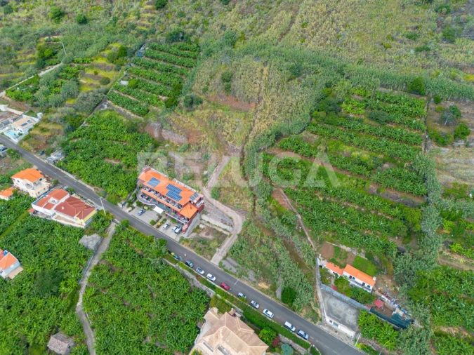 Terreno para Venda em Paul do Mar Foto 3