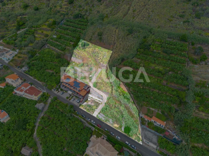 Terreno para Venda em Paul do Mar Foto 2