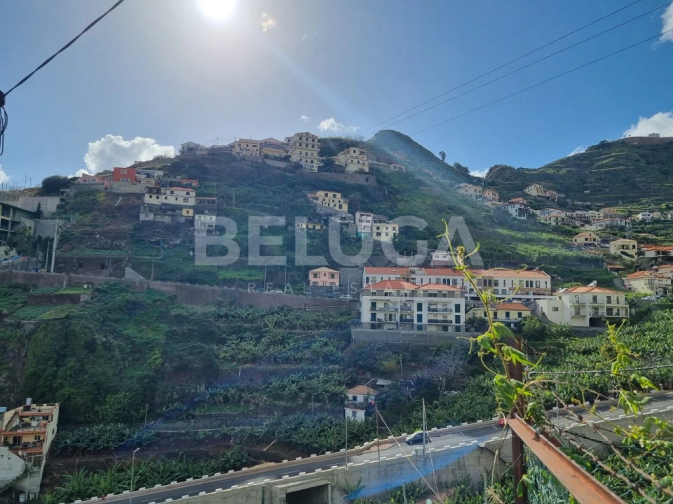 Terreno para Venda em Camara de Lobos Foto 8