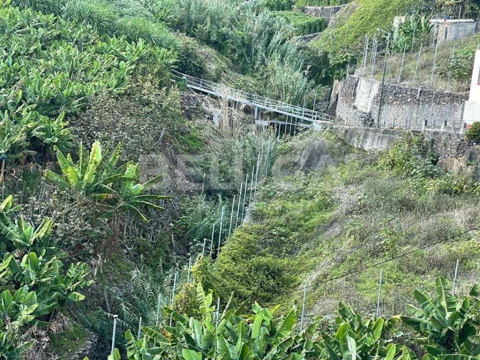 Terreno para Venda em Camara de Lobos Foto 28