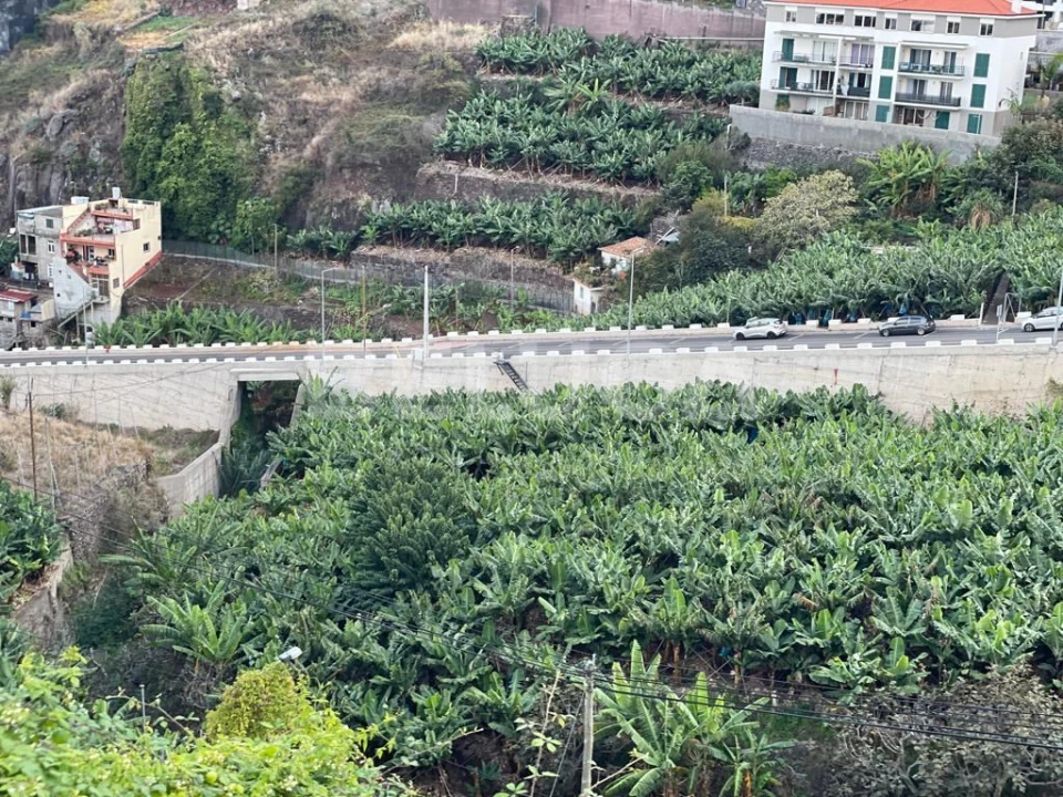 Terreno para Venda em Camara de Lobos Foto 29