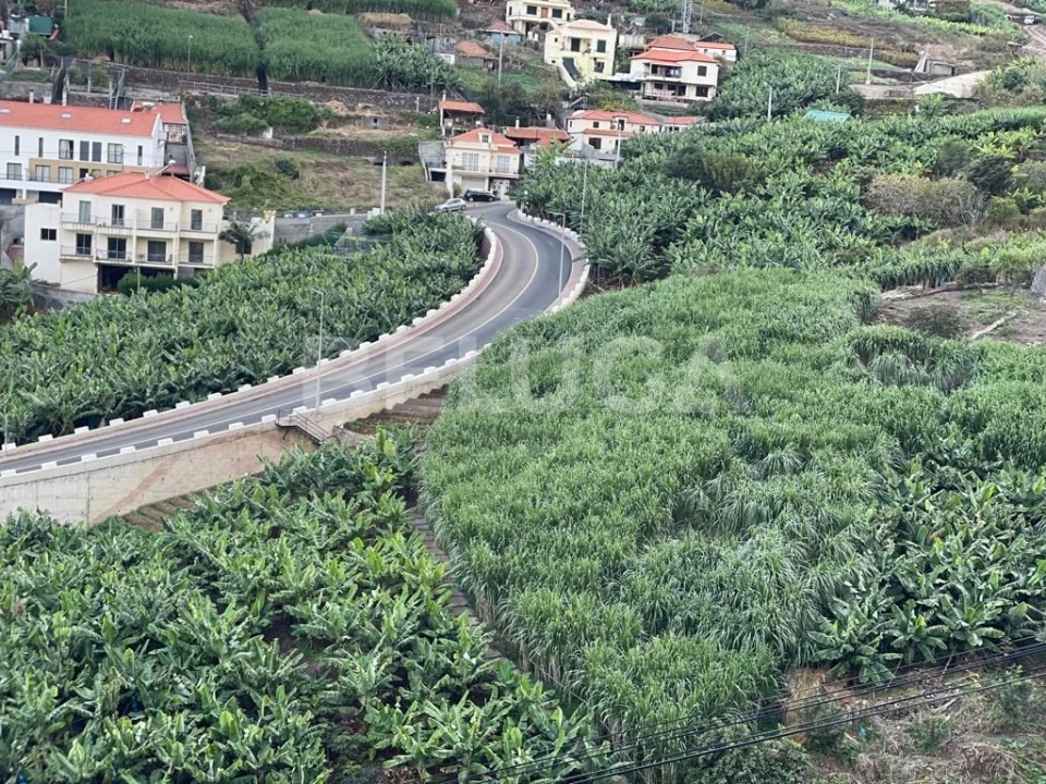 Terreno para Venda em Camara de Lobos Foto 31