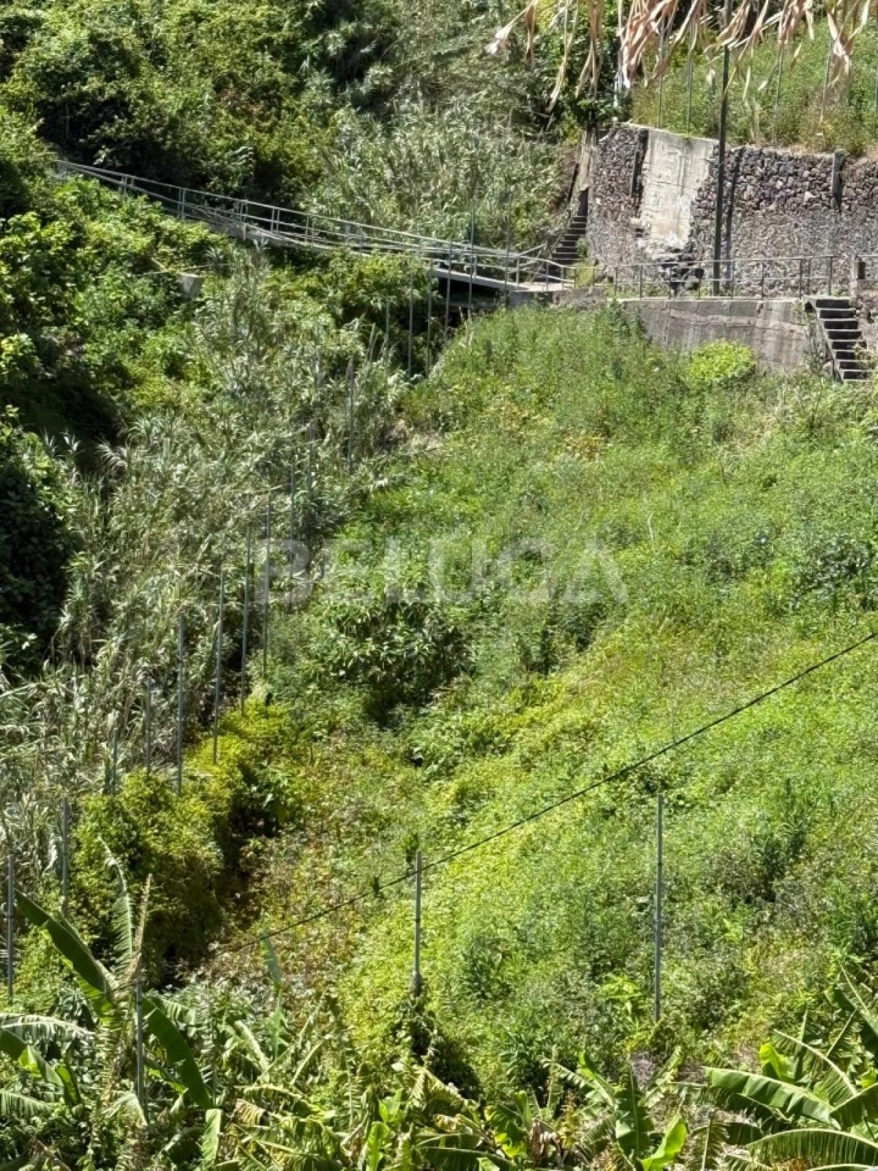 Terreno para Venda em Camara de Lobos Foto 38