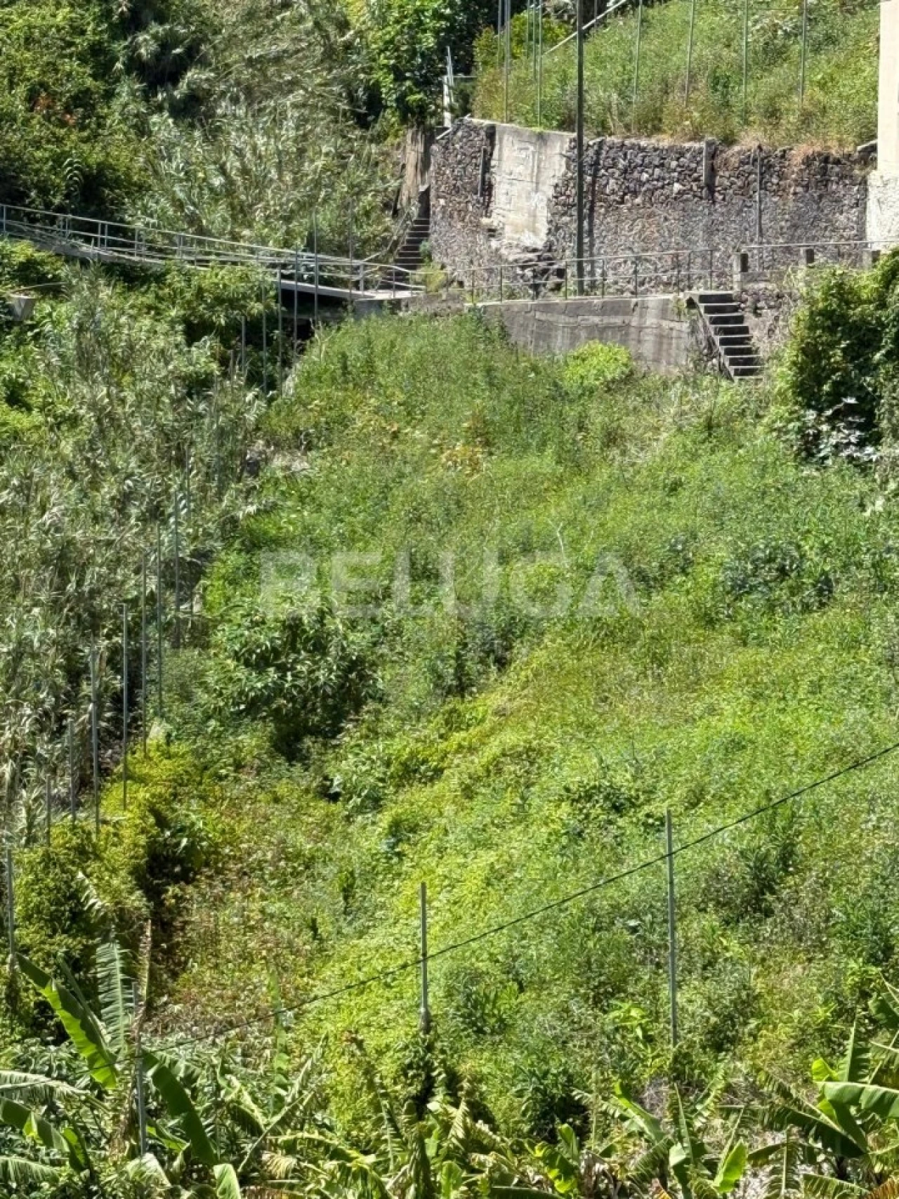 Terreno para Venda em Camara de Lobos Foto 39