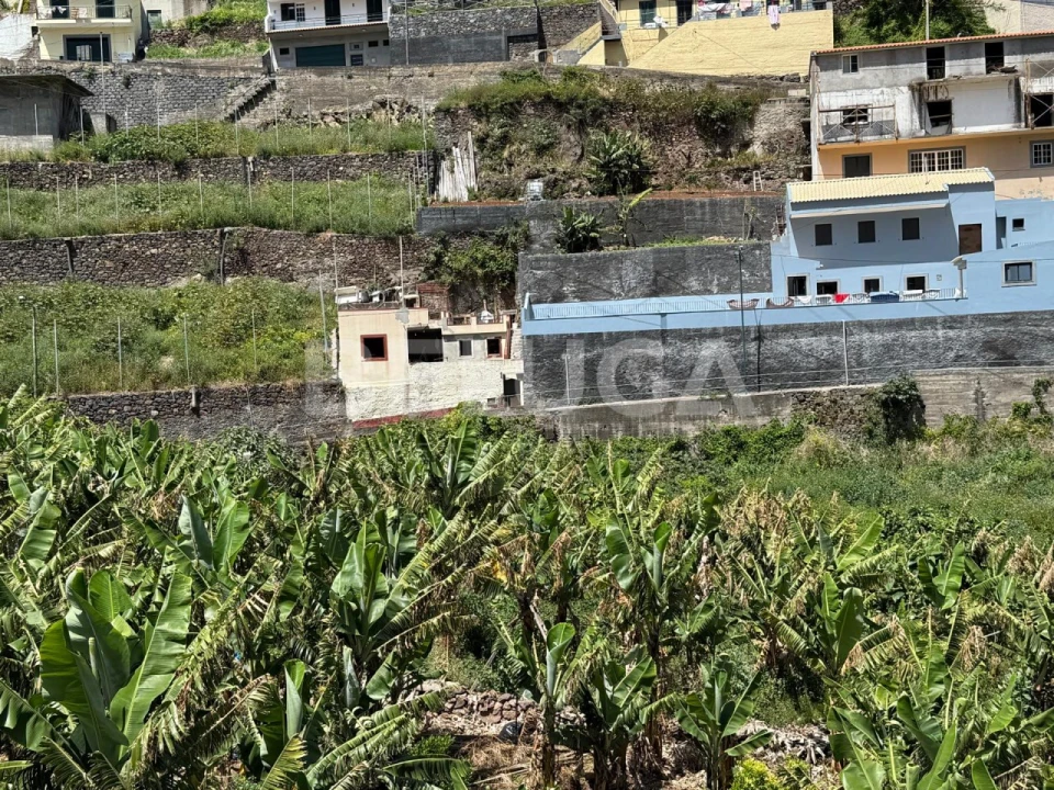 Terreno para Venda em Camara de Lobos Foto 41