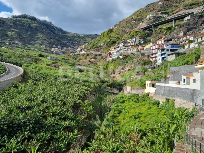 Terreno para Venda em Camara de Lobos Foto 6