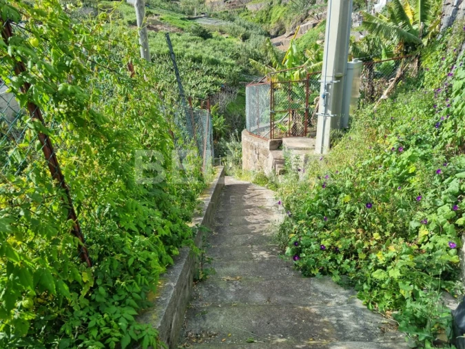 Terreno para Venda em Camara de Lobos Foto 7