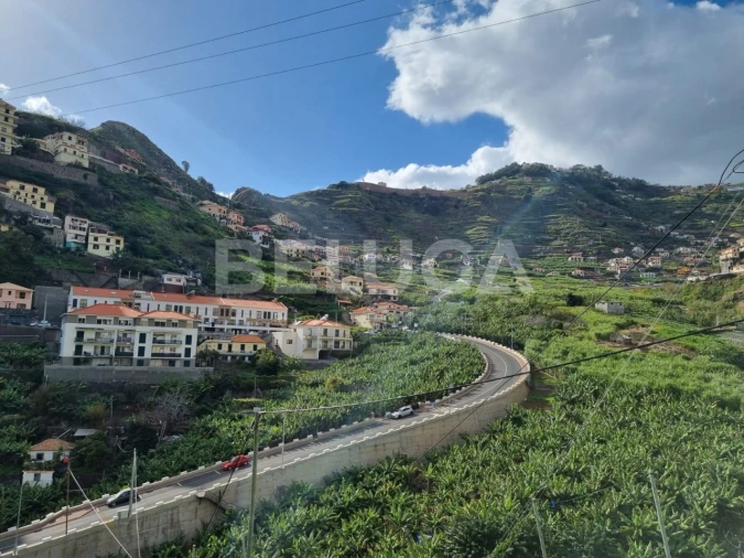 Terreno para Venda em Camara de Lobos Foto 10