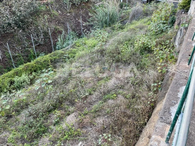 Terreno para Venda em Camara de Lobos Foto 17