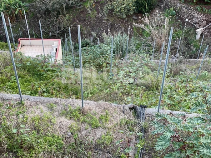 Terreno para Venda em Camara de Lobos Foto 18