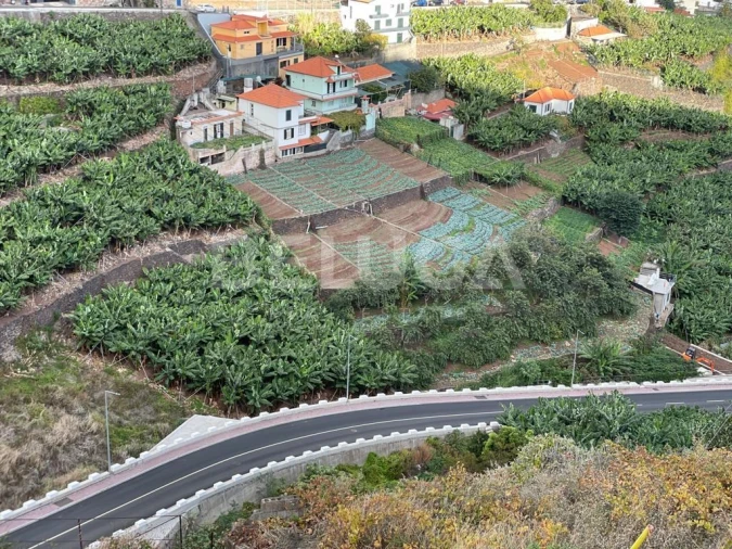 Terreno para Venda em Camara de Lobos Foto 21