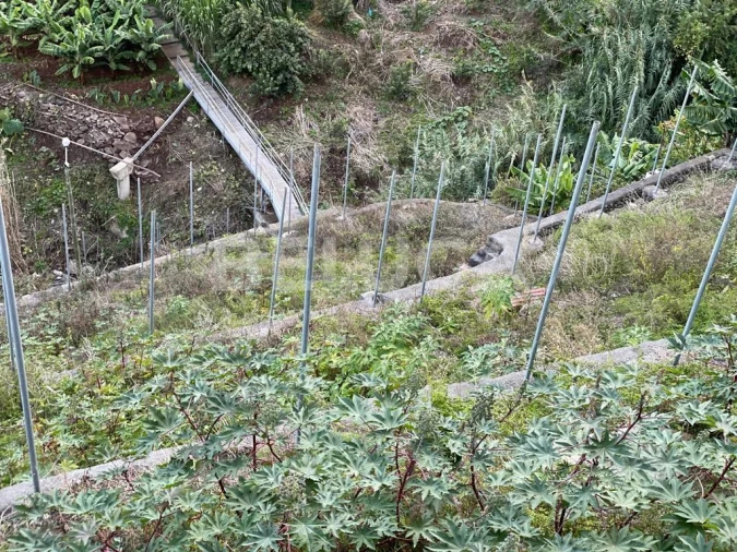 Terreno para Venda em Camara de Lobos Foto 27