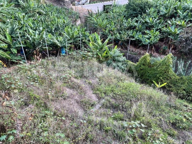 Terreno para Venda em Camara de Lobos Foto 35