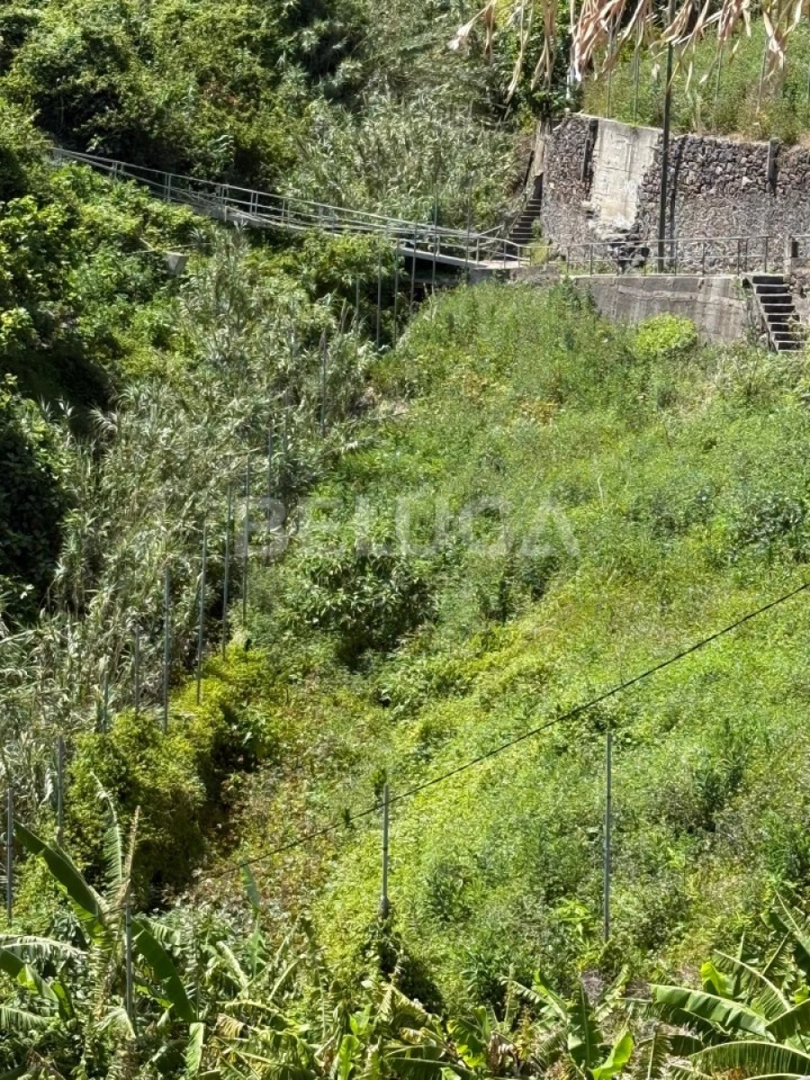 Terreno para Venda em Camara de Lobos Foto 38