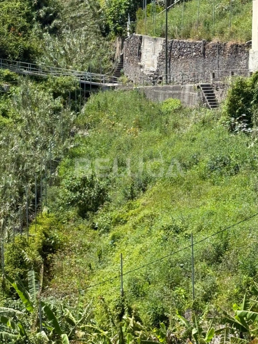 Terreno para Venda em Camara de Lobos Foto 39