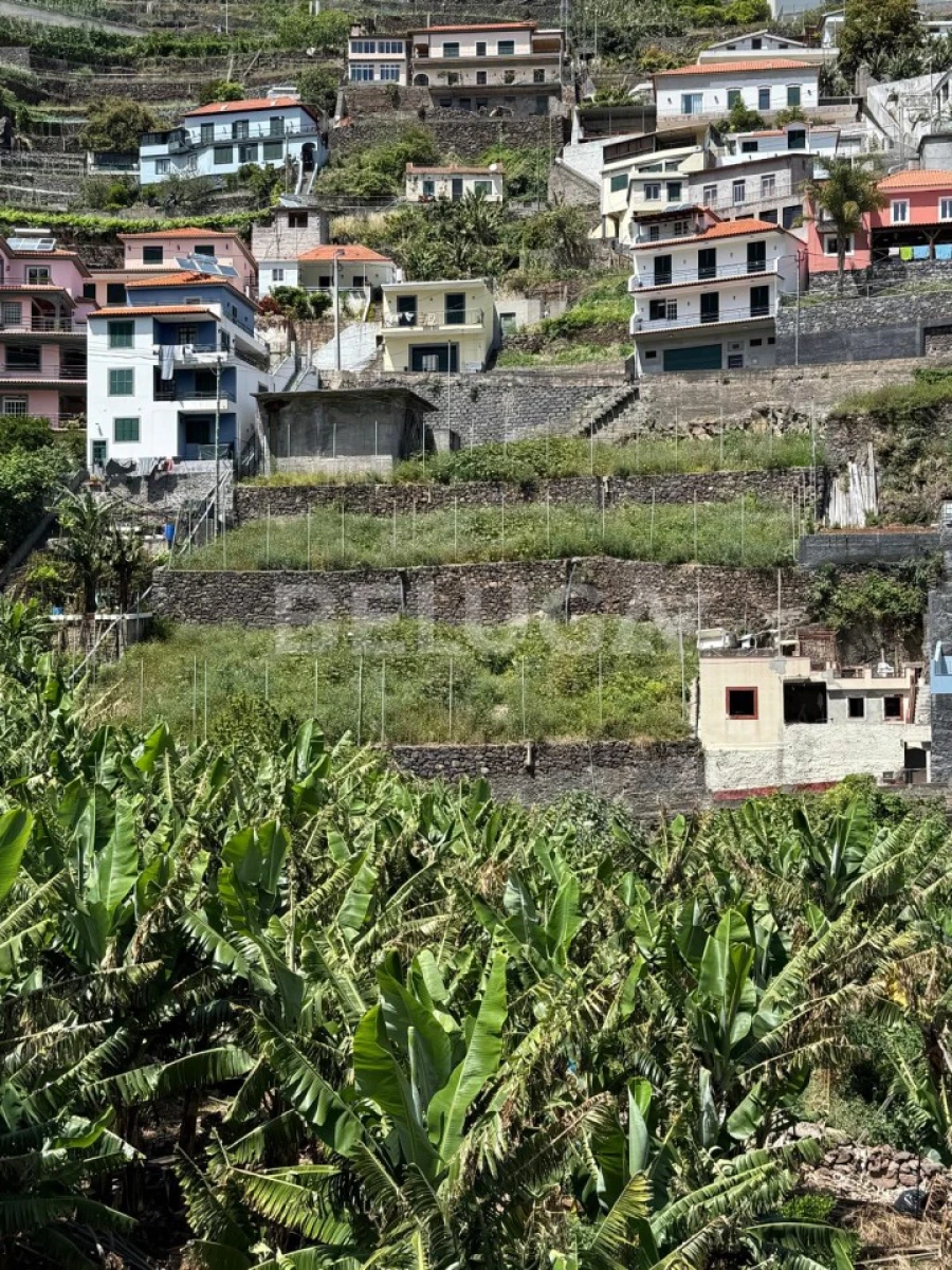 Terreno para Venda em Camara de Lobos Foto 42