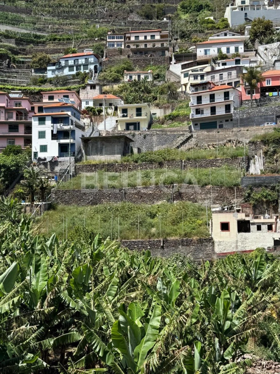 Terreno para Venda em Camara de Lobos Foto 43