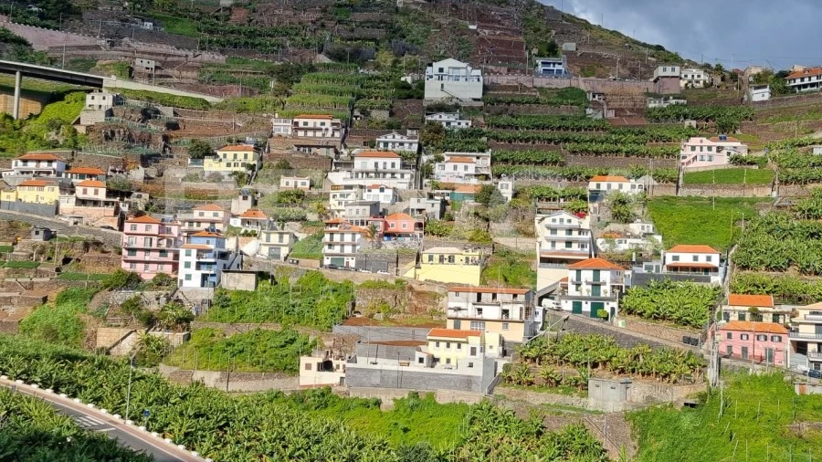 Terreno para Venda em Camara de Lobos