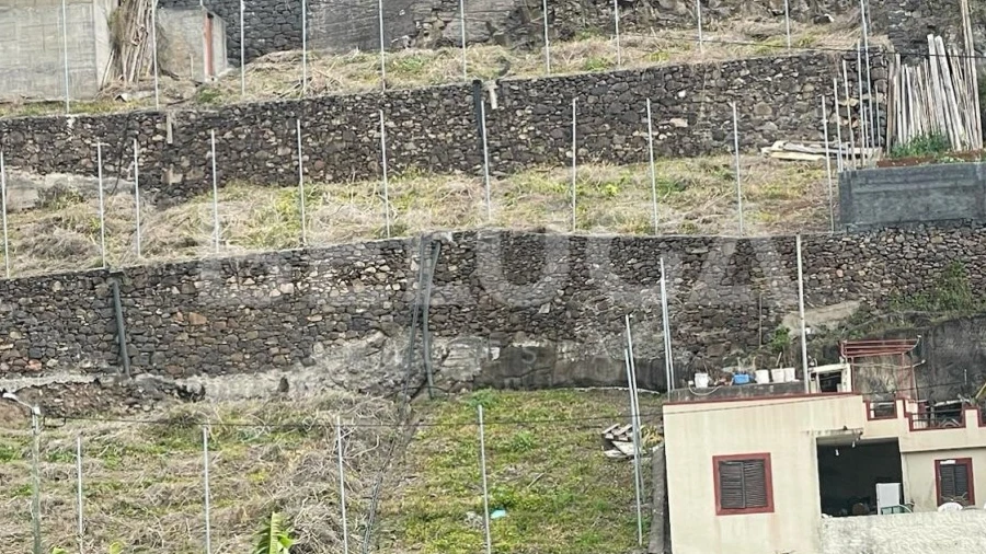 Terreno para Venda em Camara de Lobos