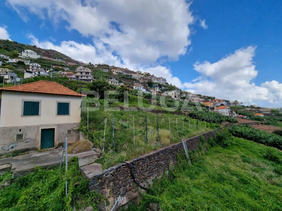 Terreno para Venda em Camara de Lobos Foto 6