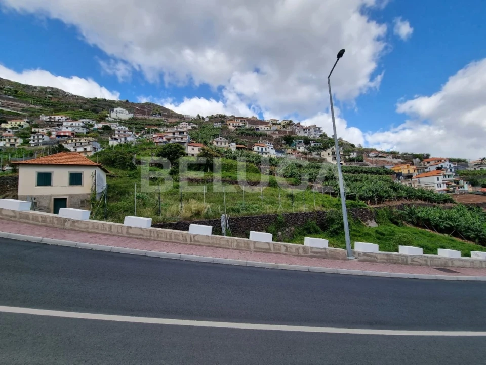 Terreno para Venda em Camara de Lobos Foto 4