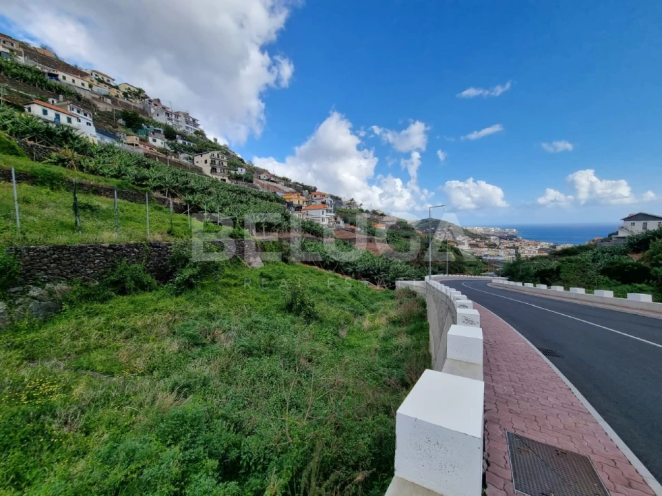 Terreno para Venda em Camara de Lobos Foto 8
