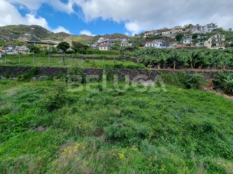Terreno para Venda em Camara de Lobos Foto 9