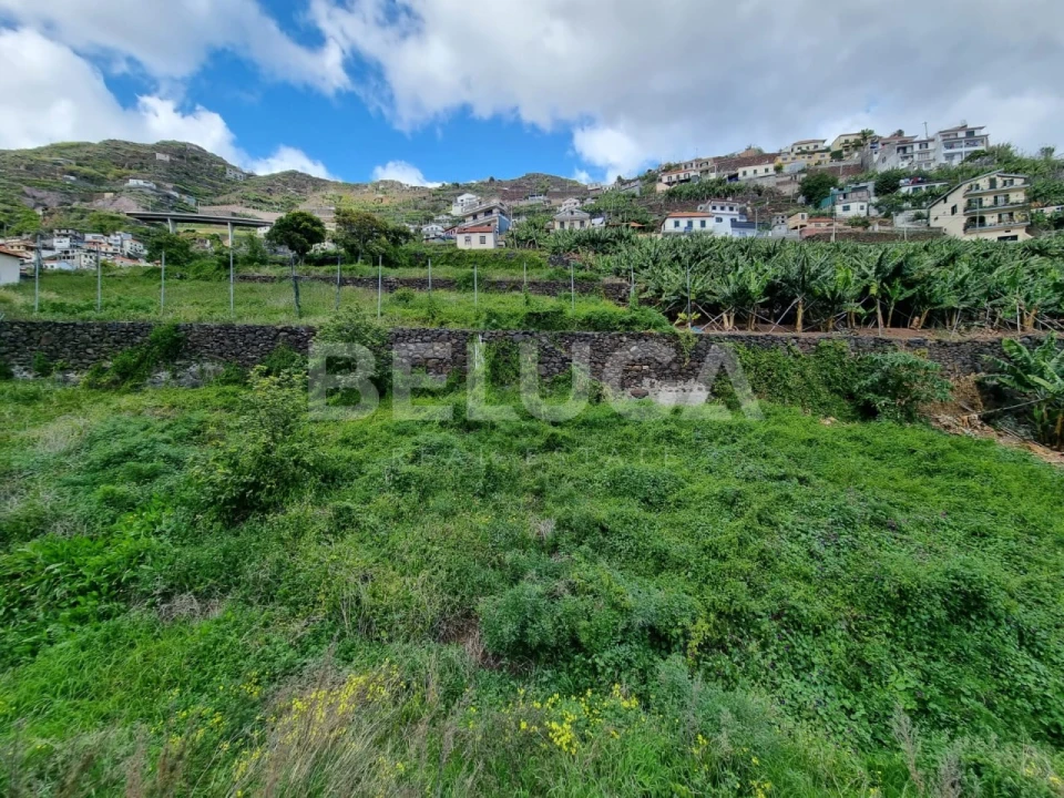 Terreno para Venda em Camara de Lobos Foto 12
