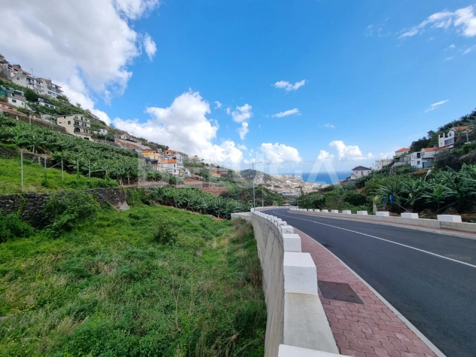 Terreno para Venda em Camara de Lobos Foto 15