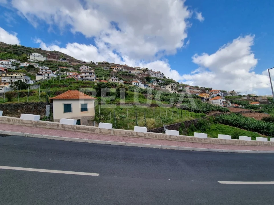 Terreno para Venda em Camara de Lobos Foto 16