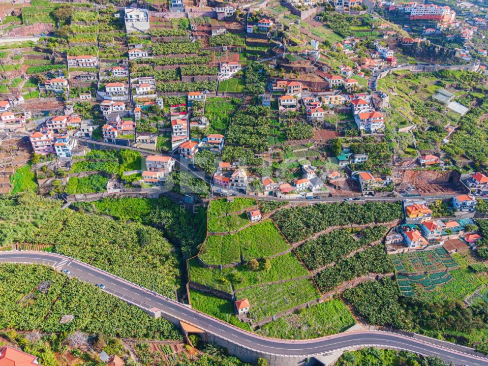 Terreno para Venda em Camara de Lobos Foto 2