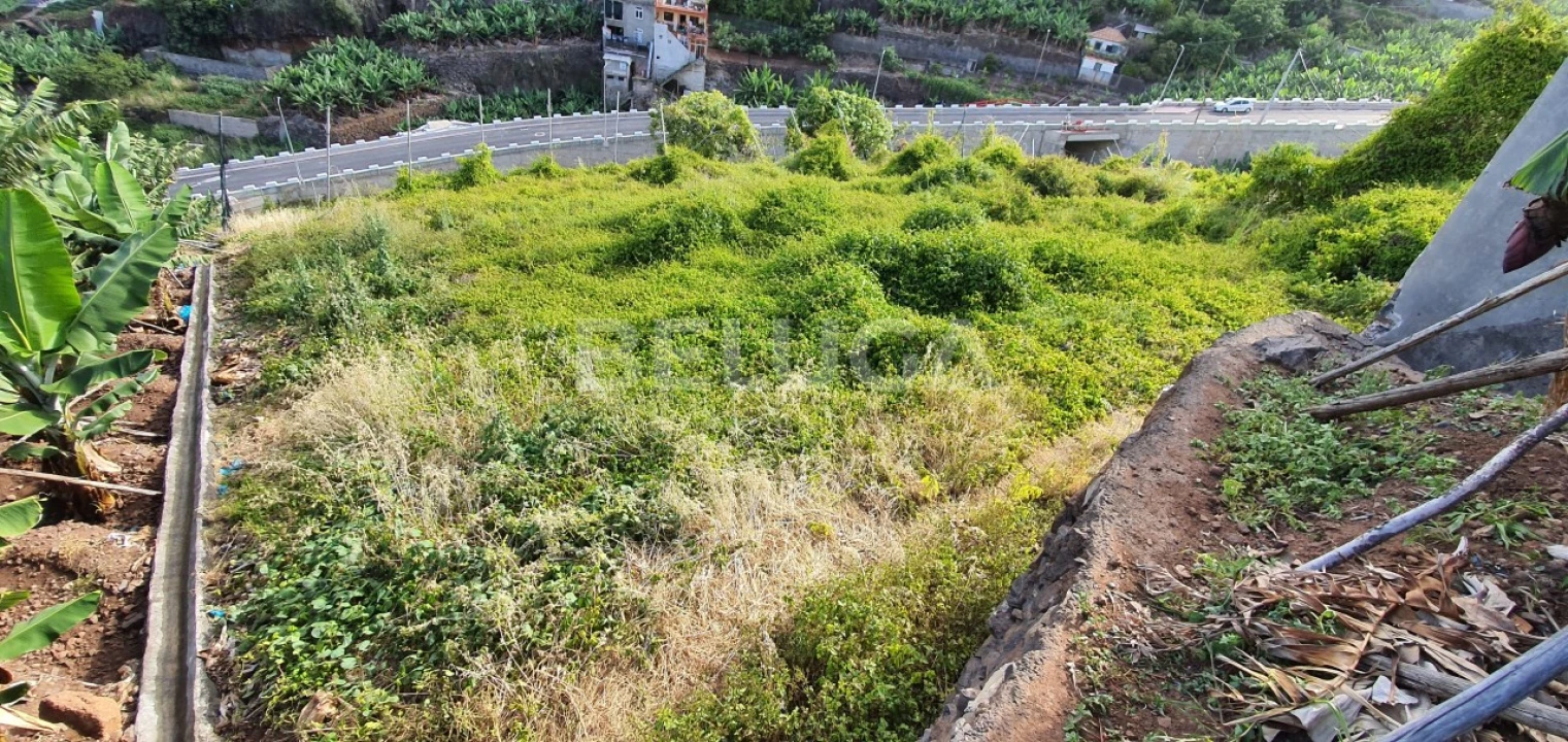 Terreno para Venda em Camara de Lobos Foto 28