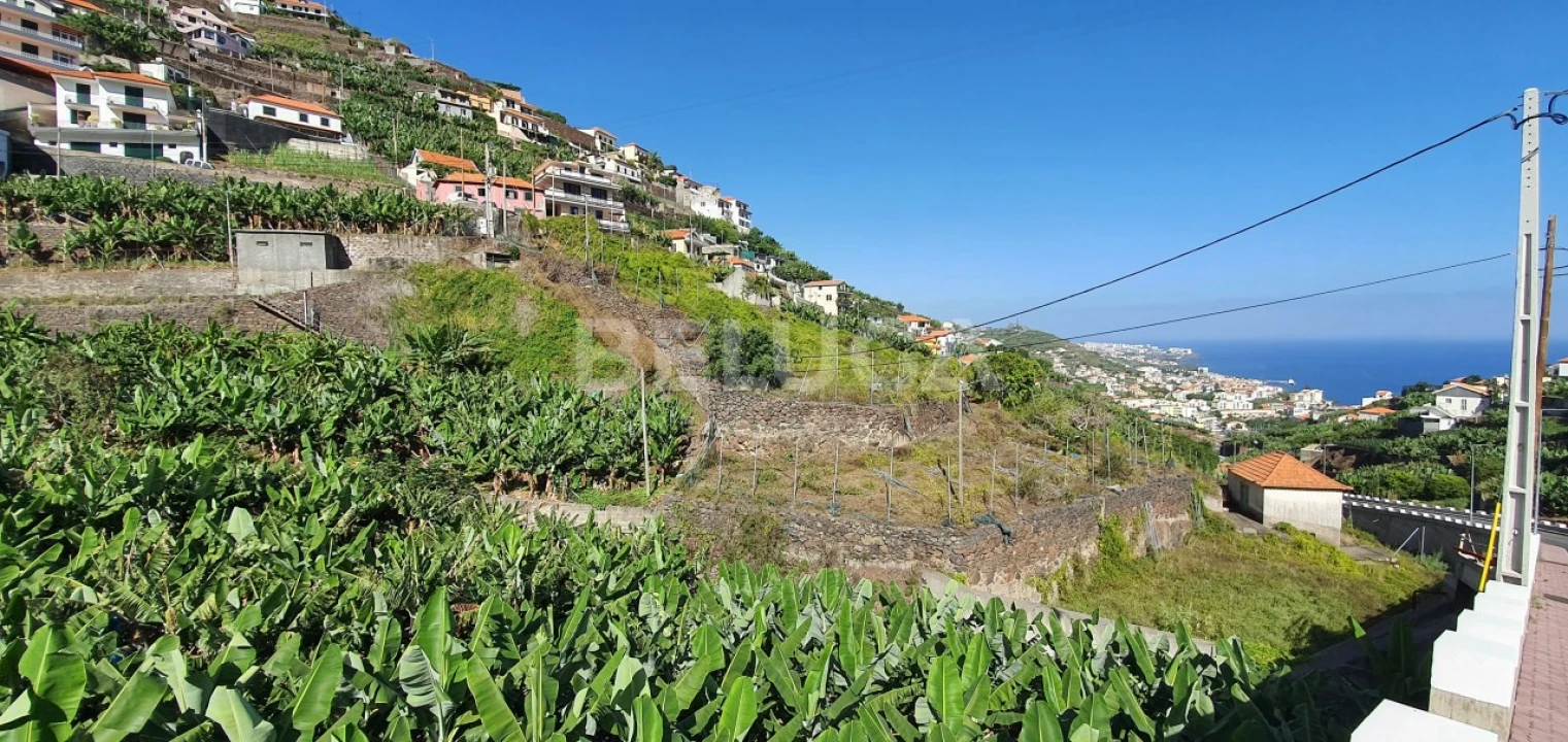 Terreno para Venda em Camara de Lobos Foto 30