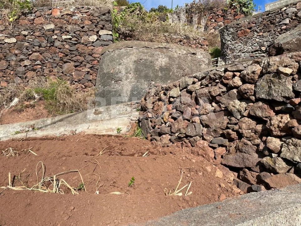 Terreno para Venda em Camara de Lobos Foto 35