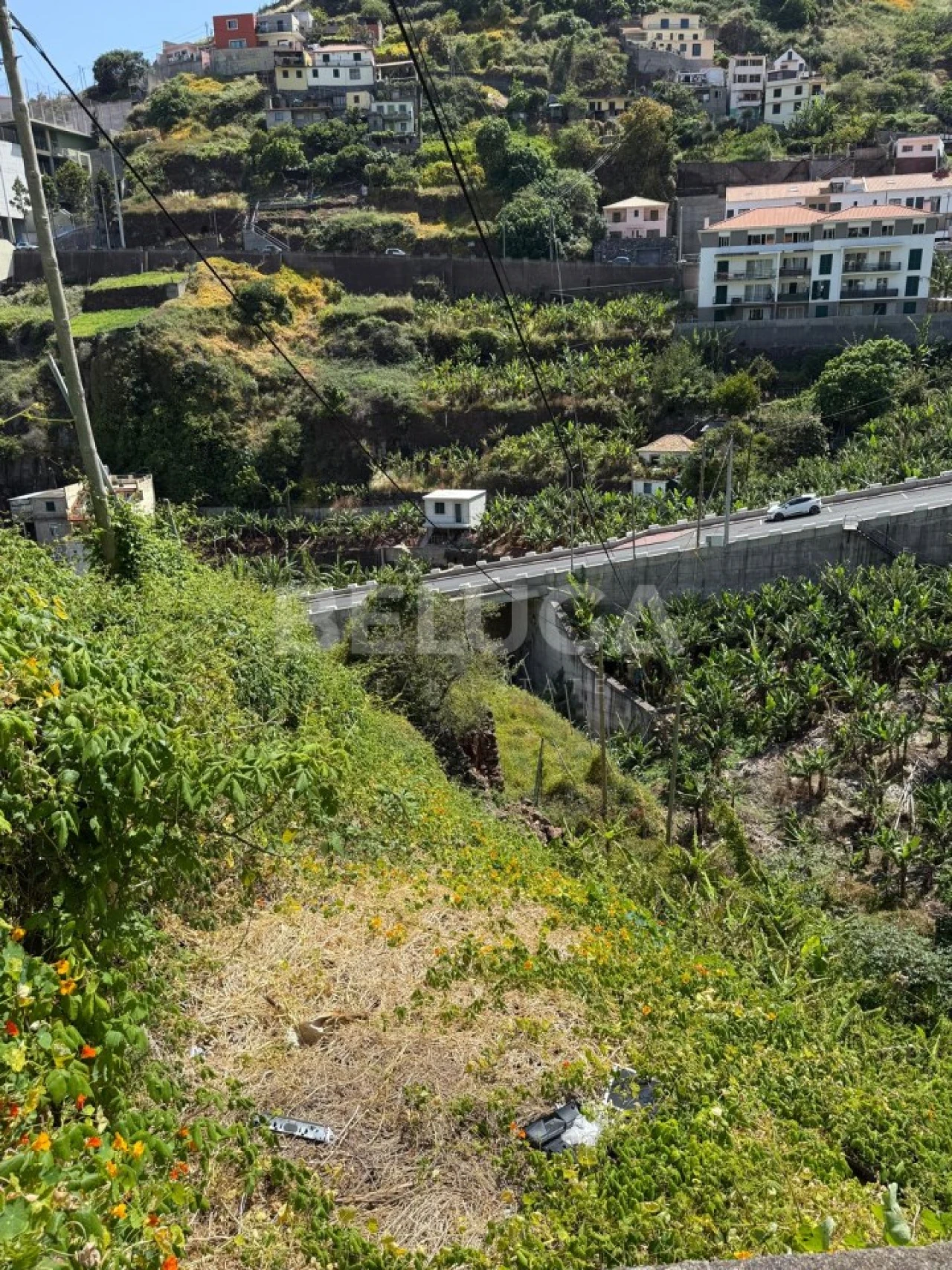 Terreno para Venda em Camara de Lobos Foto 49