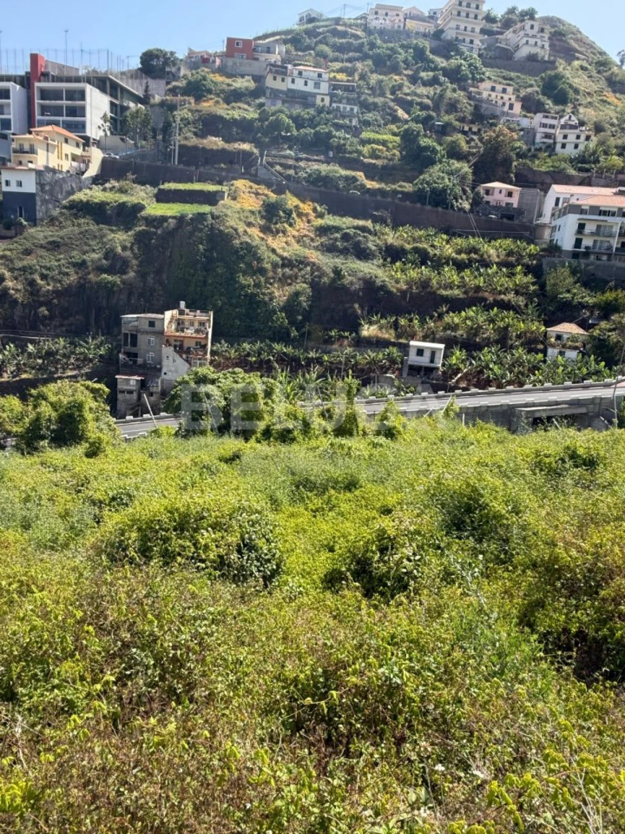 Terreno para Venda em Camara de Lobos Foto 52