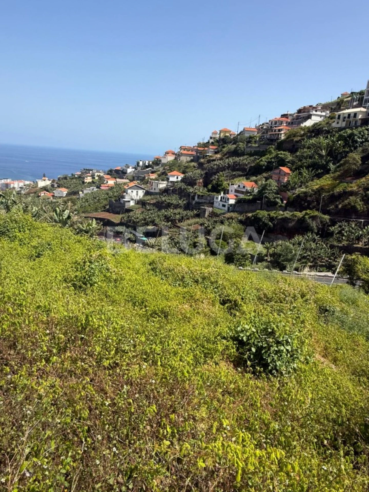 Terreno para Venda em Camara de Lobos Foto 53