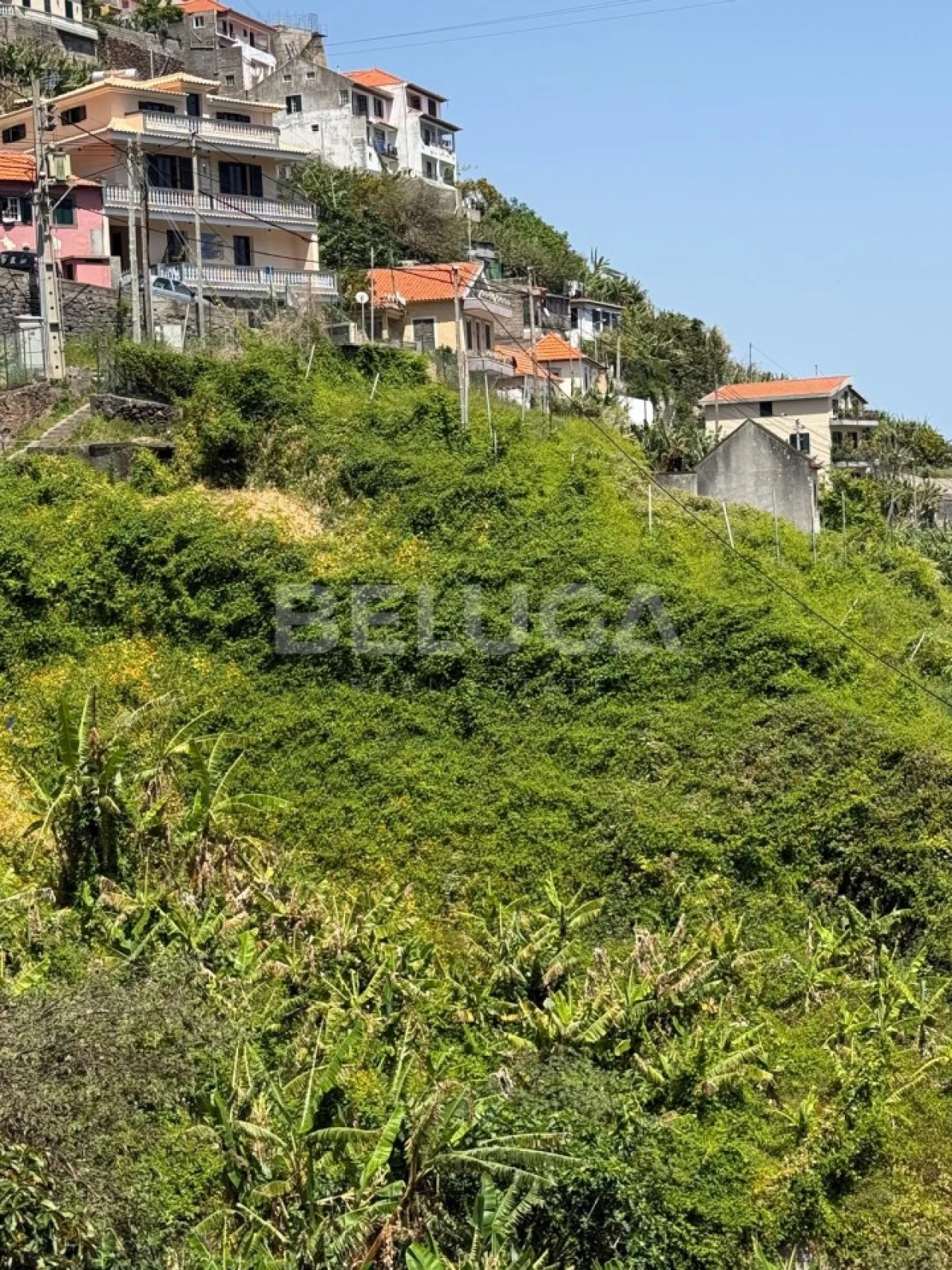 Terreno para Venda em Camara de Lobos Foto 54