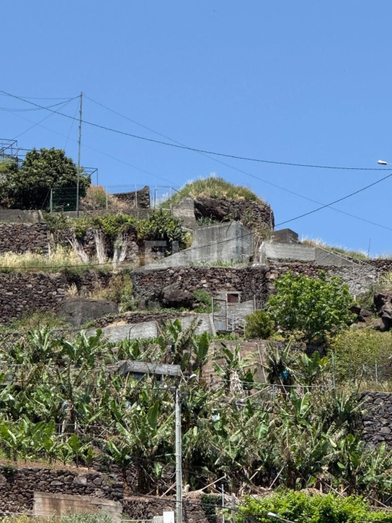 Terreno para Venda em Camara de Lobos Foto 56
