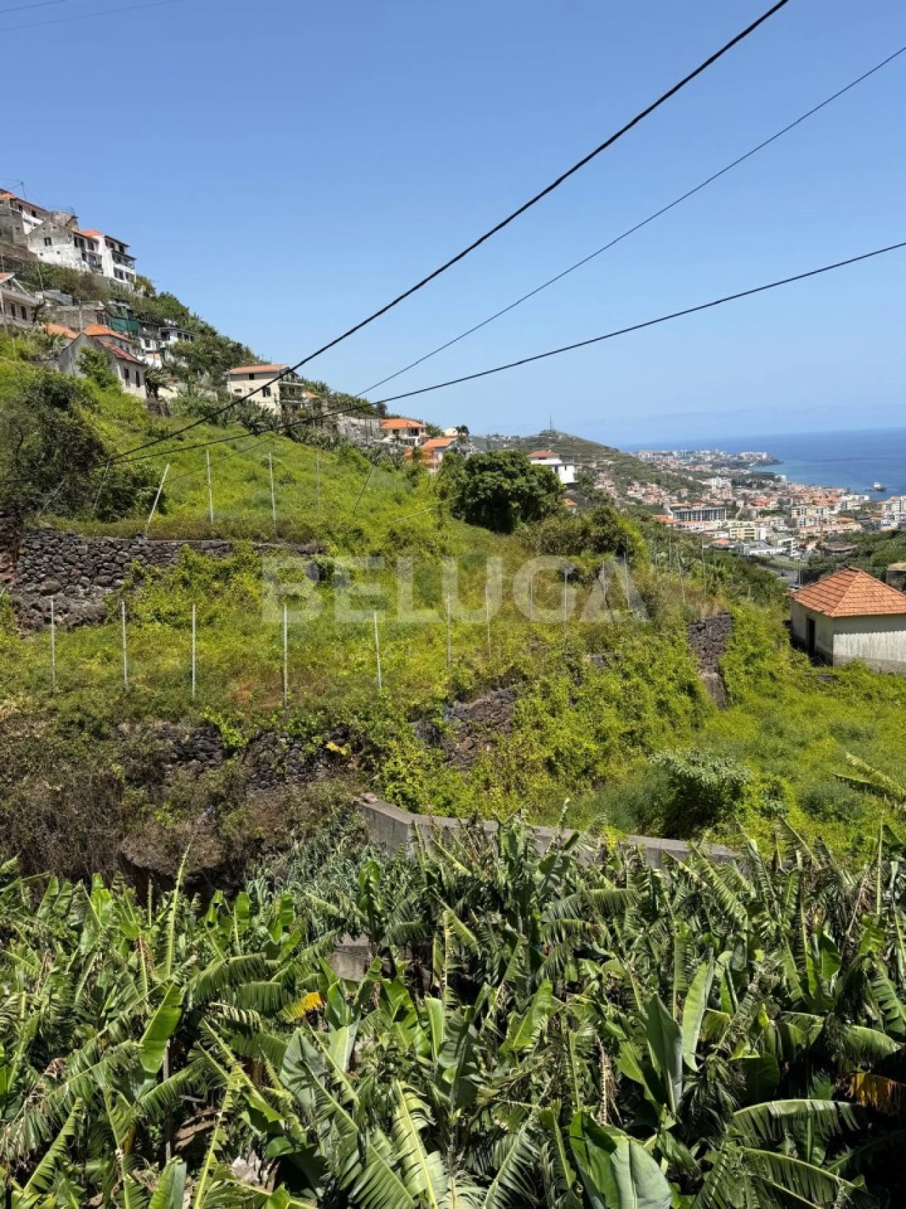 Terreno para Venda em Camara de Lobos Foto 58