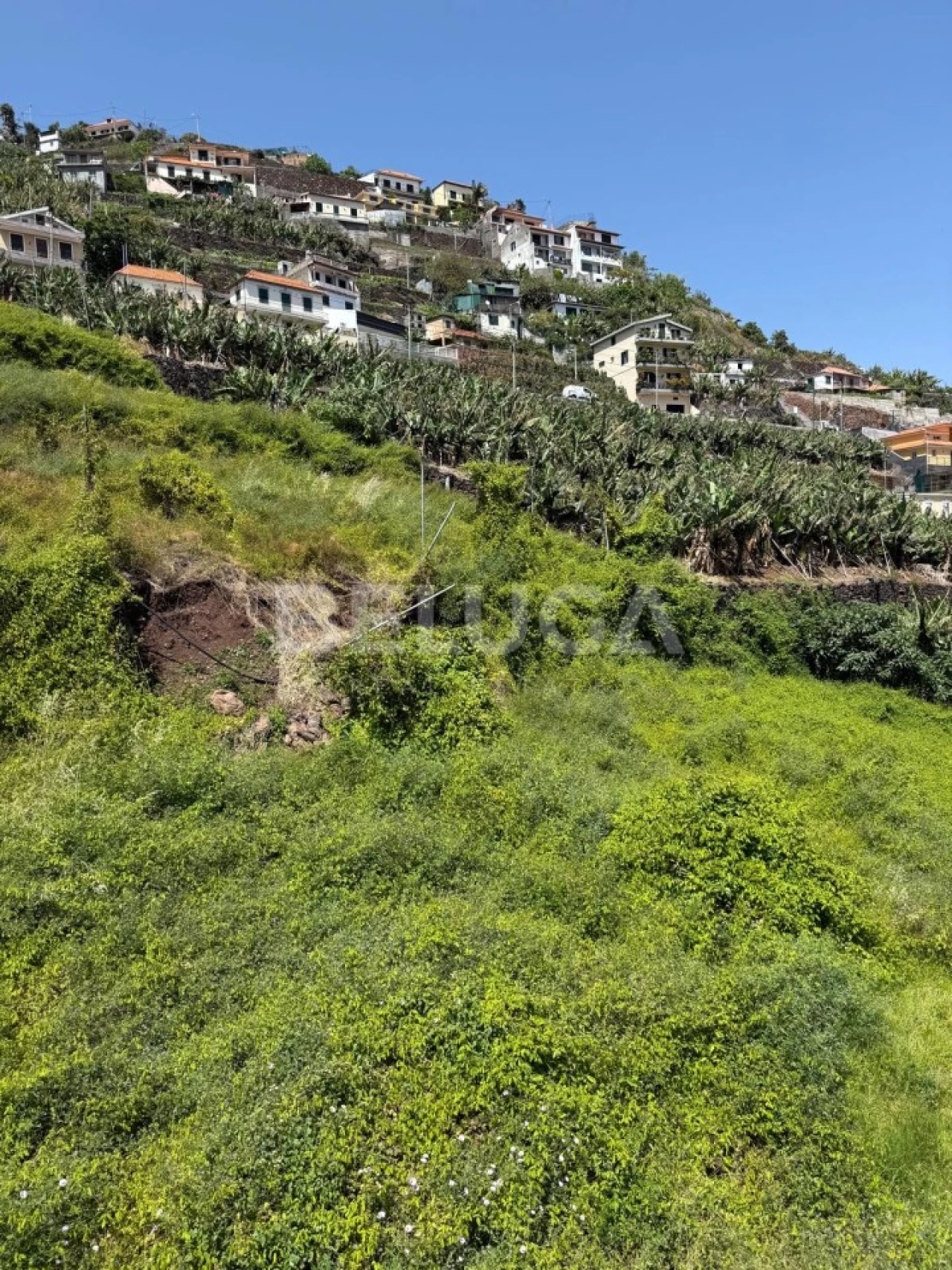 Terreno para Venda em Camara de Lobos Foto 60