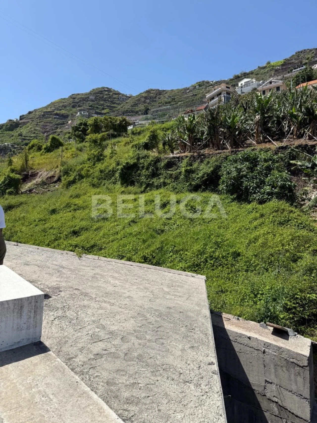 Terreno para Venda em Camara de Lobos Foto 61