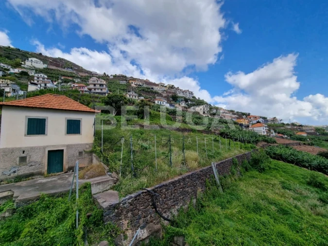 Terreno para Venda em Camara de Lobos Foto 6