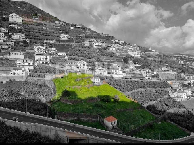 Terreno para Venda em Camara de Lobos
