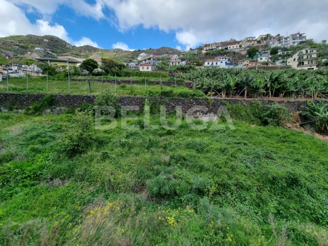 Terreno para Venda em Camara de Lobos Foto 9