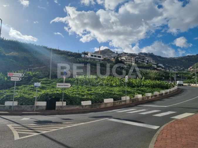 Terreno para Venda em Camara de Lobos Foto 10