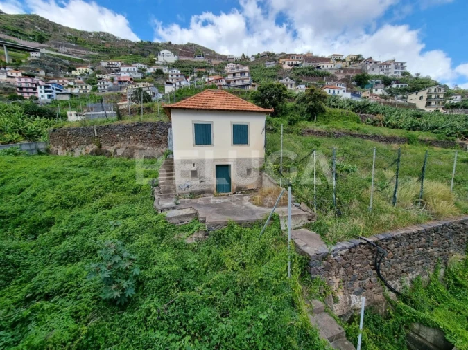 Terreno para Venda em Camara de Lobos Foto 11
