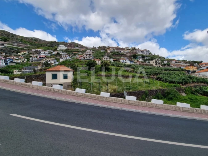 Terreno para Venda em Camara de Lobos Foto 13