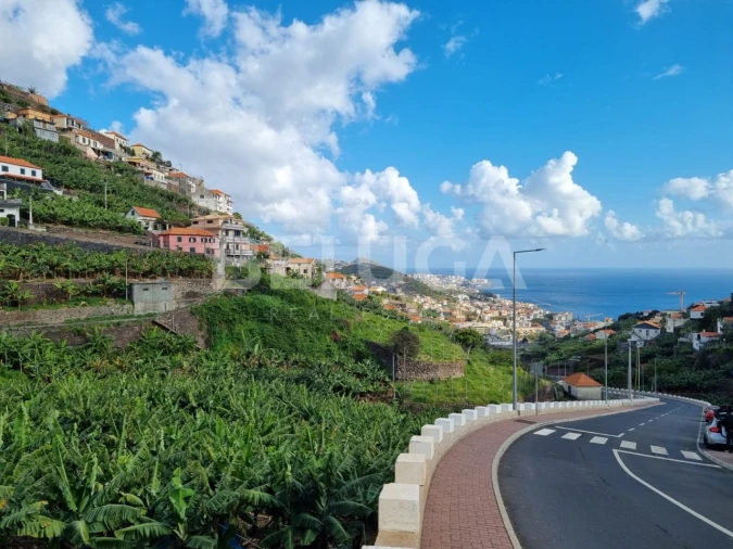 Terreno para Venda em Camara de Lobos Foto 14